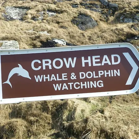 فندق مبيت وإفطار Island View House 4*