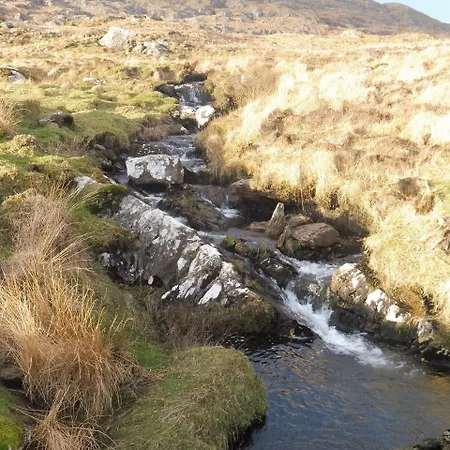 Island View House فندق مبيت وإفطار 4*