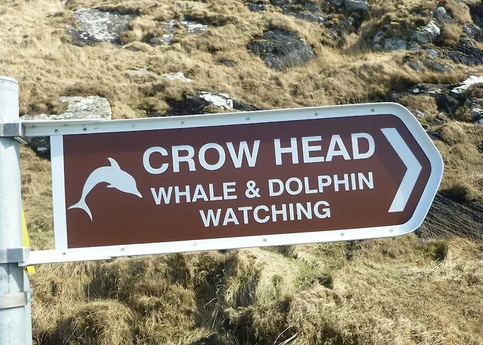 Frühstückspension Island View House 4*