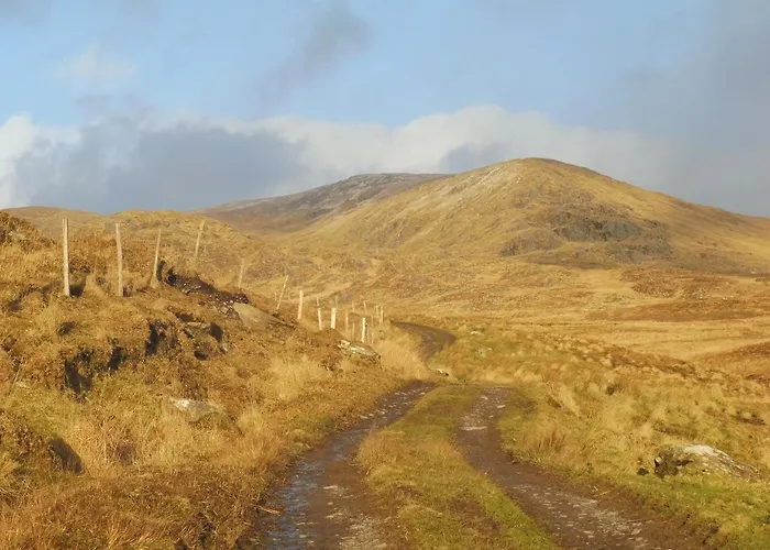 Island View House 4* キャッスルタウンベア